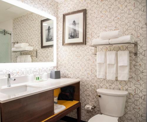 Ett badrum på Holiday Inn & Suites - Savannah Airport - Pooler, an IHG Hotel