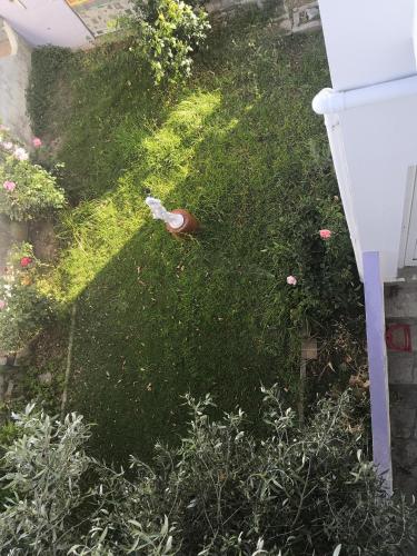 Ein Garten an der Unterkunft Zahner studio