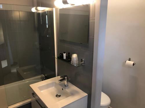 a bathroom with a sink and a toilet and a mirror at L'embellie in Treffort