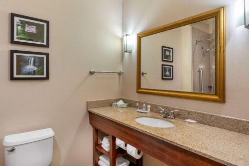 Koupelna v ubytování Comfort Suites Eugene