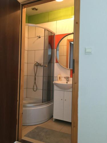 een badkamer met een douche en een wastafel bij Apartamenty w Młynie in Gostynin