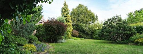 a garden with green grass and trees and bushes at Libušina Villa in Kutná Hora