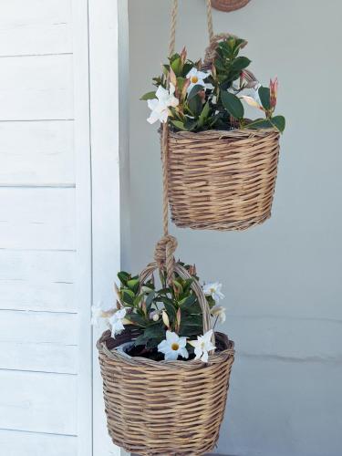 two baskets with flowers in them hanging on a wall at Dimora Lilla in Polignano a Mare