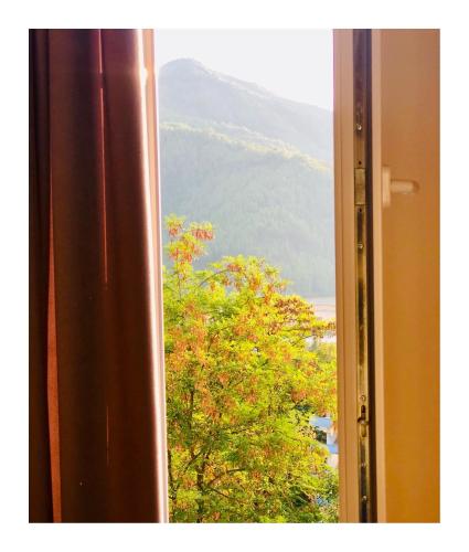 an open window with a view of a tree at R HOTEL in Çorovodë