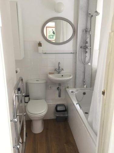 uma casa de banho com um WC, um lavatório e um espelho. em Wrenscott em Chagford