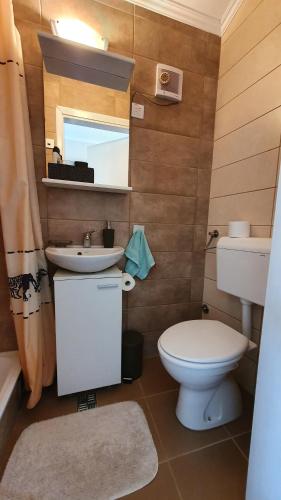 a bathroom with a toilet and a sink at Rajski vrt in Vrdnik