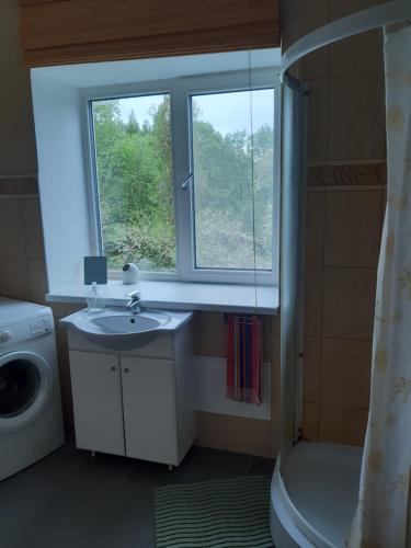 a bathroom with a sink and a window at Mosina Vesiveski in Vissi