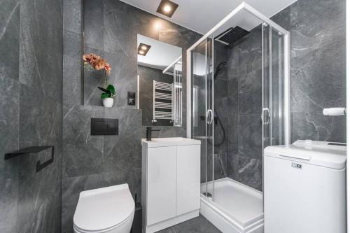 a bathroom with a toilet and a sink and a shower at Studio Matejki D in Bielsko-Biala