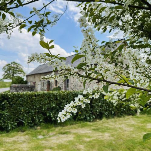 a tree with white flowers in front of a building at La Jaguelinière in Astillé