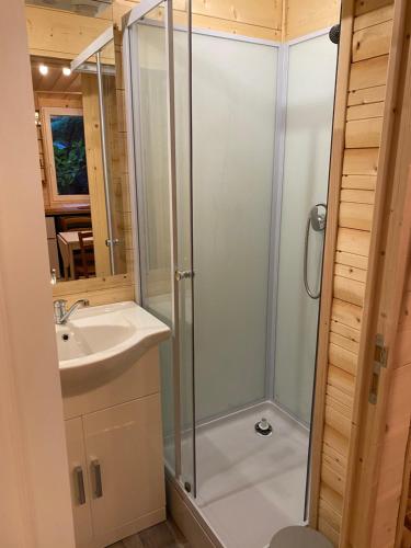 a bathroom with a shower and a sink at Studio Huguette in Courchevel