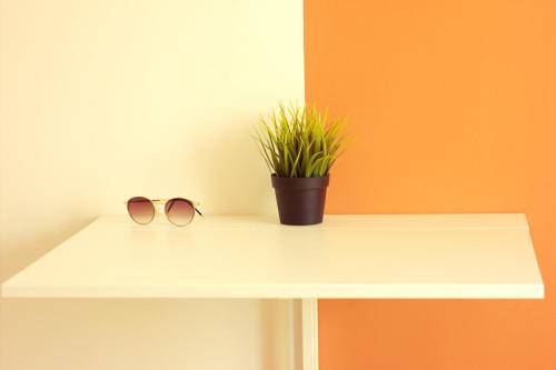 a pair of glasses and a potted plant on a shelf at Студии на улице 850 летия in Vladimir