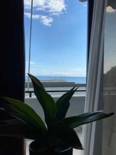 Alexander Apartments picture