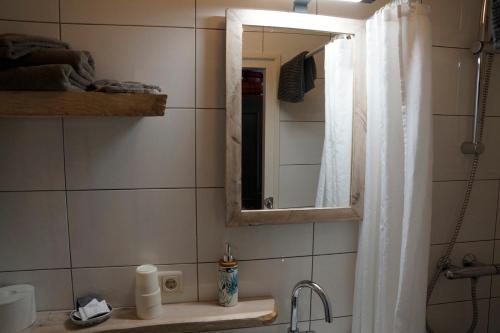a bathroom with a sink and a mirror and a shower at Pension De Hoestinkhof in Markelo