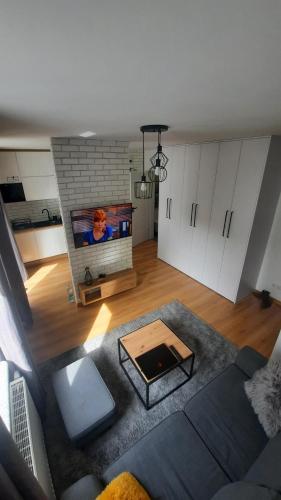 sala de estar con sofá y TV en Apartament dla Dwojga, en Dziwnówek