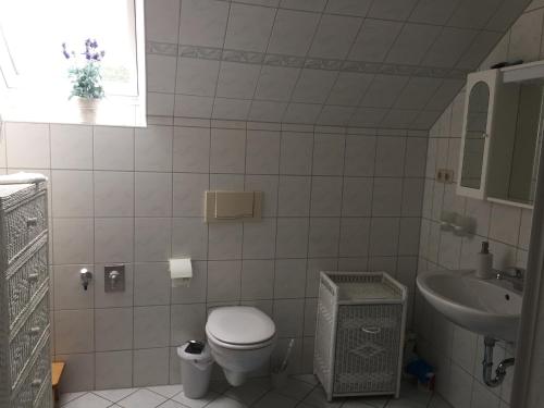 a small bathroom with a toilet and a sink at Blauer Salon in Satow