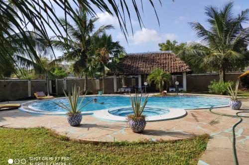 a swimming pool with two potted plants in a yard at Dadida‘s Pool Cottage in Diani Beach
