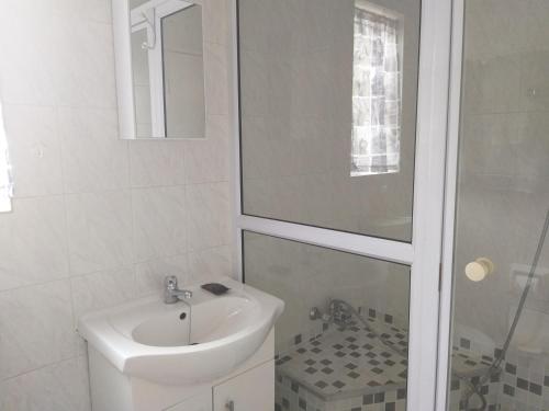 a white bathroom with a sink and a shower at Burban Bliss in Johannesburg