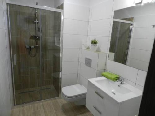een badkamer met een douche, een toilet en een wastafel bij Pensjonat Dziki Zakątek in Grzybowo