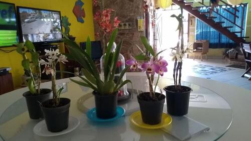 uma mesa com cinco vasos de plantas em cima dela em Pousada Enseada de Bertioga em Bertioga