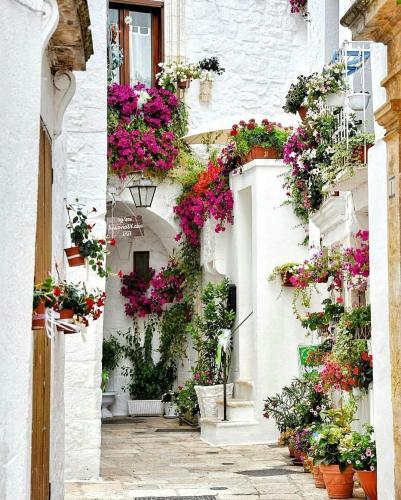 a white building with lots of plants and flowers at La Volta del Conte-Holiday Home Centro Storico in Cisternino