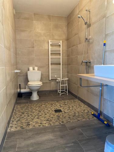 a bathroom with a toilet and a shower and a sink at Hotel Bord A Bord in Noirmoutier-en-l'lle