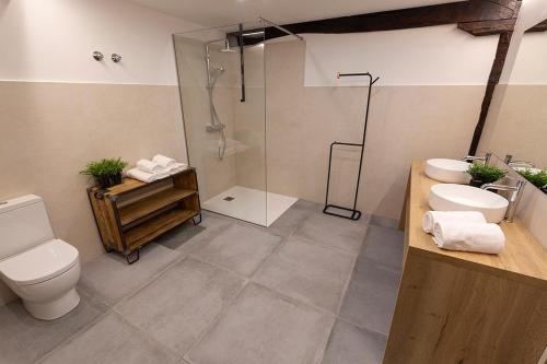 a bathroom with a toilet and a sink and a shower at ARBELA Apartamentuak in Aia
