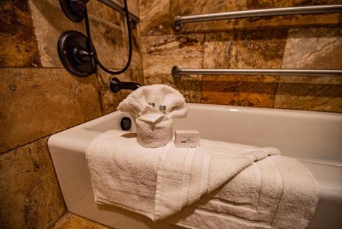 a towel sitting on top of a bath tub at Elk Country Inn in Jackson