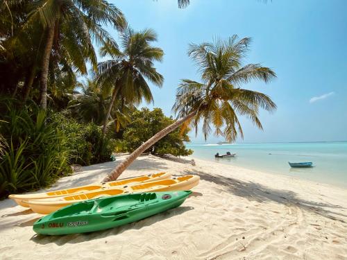 a group of kayaks on a beach with palm trees at Veli Beach Inn in Mathiveri
