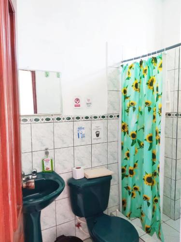 ein Badezimmer mit einem grünen WC und einem Duschvorhang in der Unterkunft Hostal Los Flamencos in Puerto Villamil