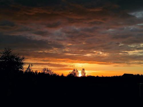 a sunset over a field with trees in the foreground at Apartament przy Brzozowej Polanie in Perlino
