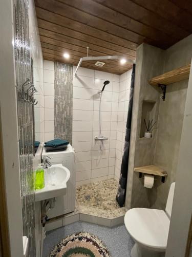 uma casa de banho com um chuveiro, um WC e um lavatório. em Renthouse Guest Apartment ADEELE em Paide