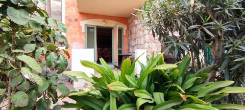 圣玛丽亚Sal Service djasal residence with pool的相册照片