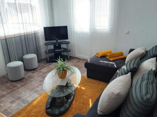 TV a/nebo společenská místnost v ubytování Apartman Grlić Obiteljski odmor