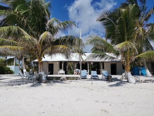 una casa en la playa con palmeras en Punta Ch´uuy,i Xcalak en Xcalak