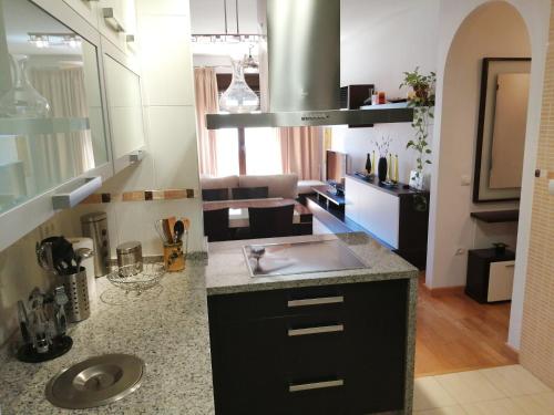 eine Küche mit einer Spüle und einer Arbeitsplatte in der Unterkunft ARUNDA-SUR in Ronda