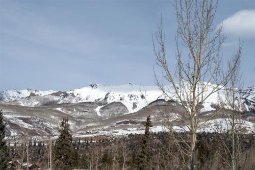 a snow covered mountain in the distance with a tree at Double Eagle Way 102 in Telluride