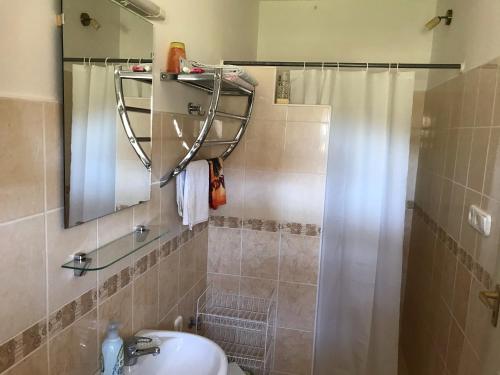 維拉尼的住宿－Szende Apartman，浴室配有盥洗盆和带镜子的淋浴