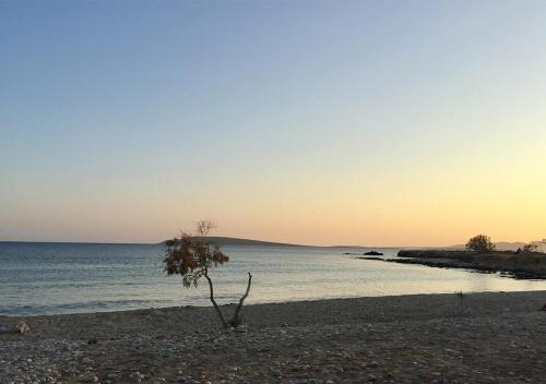 Φυσικό τοπίο κοντά σε αυτή η παραθεριστική κατοικία