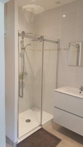 a white bathroom with a shower and a sink at Gite de La Pivarderie in Sénillé