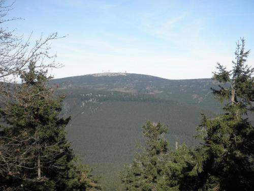a view of a mountain with trees in the foreground at Gästehaus Mea Vota in Braunlage