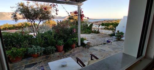 a room with a view of a garden with plants at Anemomylos Houses in Koufonisia