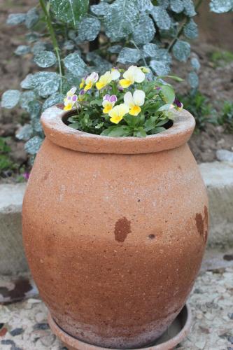 a large clay pot with flowers in it at Lime Hill Hotel in Kutaisi