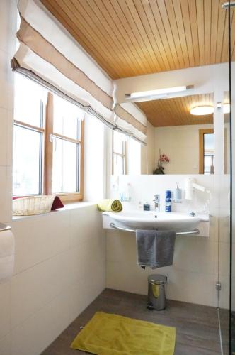 een badkamer met een wastafel en een douche bij Haus Schwendinger in Mellau