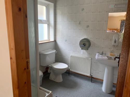 a bathroom with a toilet and a sink at Clare's Rock Self-catering Accommodation in Carron
