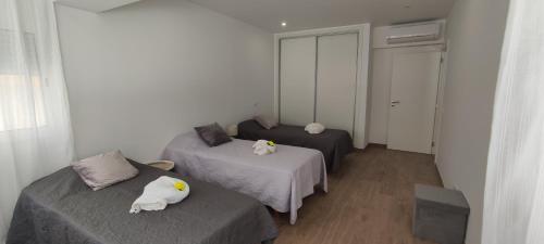 11 Beira Mar - Casas & Papeis
