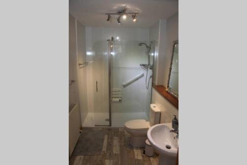 uma casa de banho com um chuveiro, um WC e um lavatório. em BELL ROCK VIEW ARBROATH em Angus