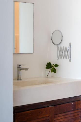 a bathroom sink with a mirror and a potted plant at Sanyama Holbox in Holbox Island