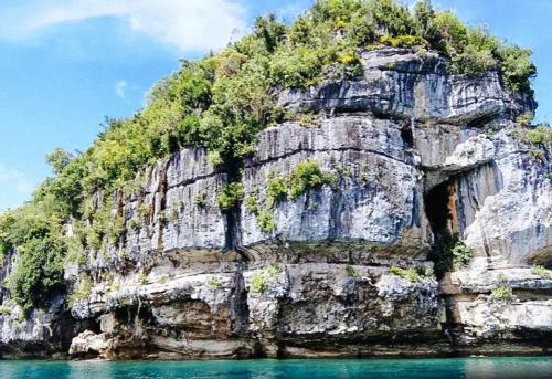 Landskap semula jadi dekat dengan hotel