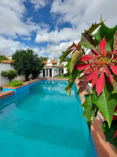 a swimming pool with blue water and red flowers at COYA HOSTEL in Salta