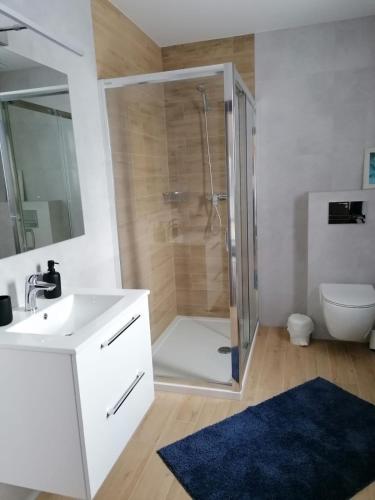 a bathroom with a shower and a sink and a toilet at Pensjonat Amor in Mielno
